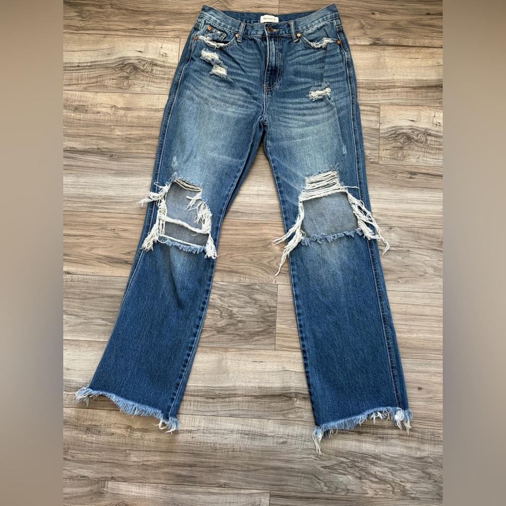 Special A Classic Distressed Jeans in Blue